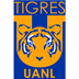 tigres